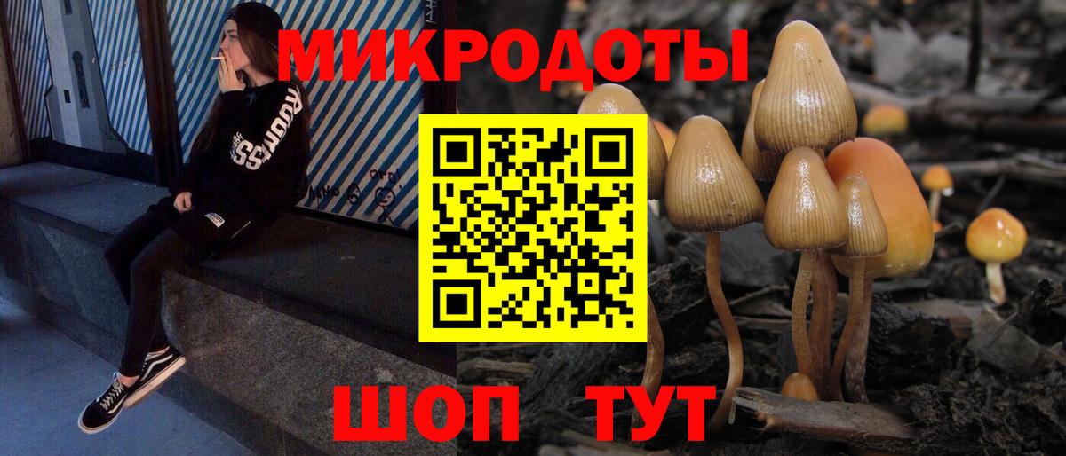 где купить наркоту  Галлюциногенные грибы Psilocybine cubensis  Псилоцибиновые грибы Magic Shrooms  Вход с VPN  Аргун 