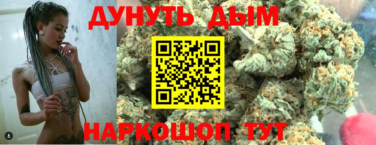Каннабис план Аргун